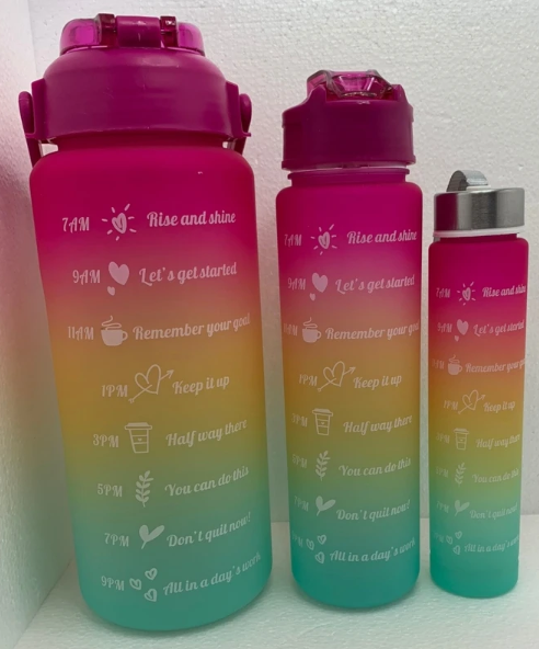 3PCS Water Bottle with Two Straws-Plum Apricot