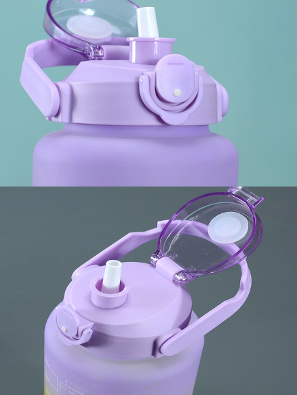 3PCS Water Bottle with Two Straws-5573Purple Lid  Apricot   